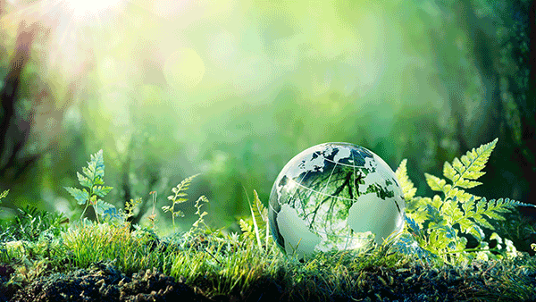 Environmental Sustainability