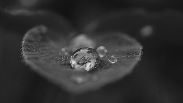History of low cost boxes, Water drop on a leaf