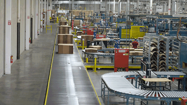 Cardboard Packaging Systems