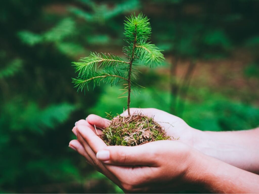 Green Bay Packaging is an environmental advocate creating initiatives for resource conservation. We are mindful of the earth and participate in outreach programs that reflect our beliefs. 