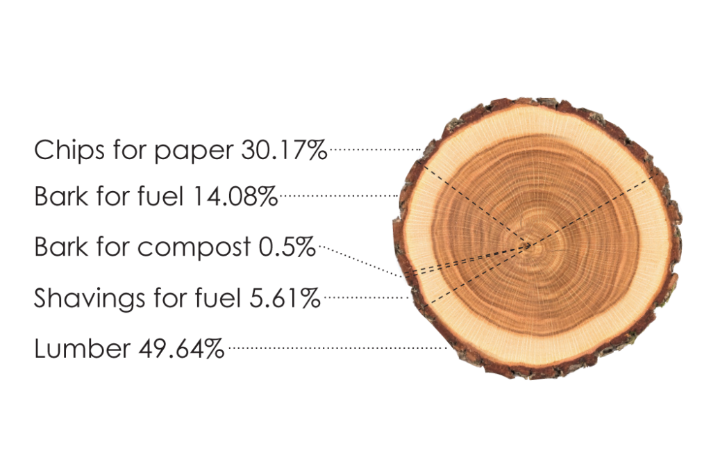 Diagram of how a tree is used for our mill operations.