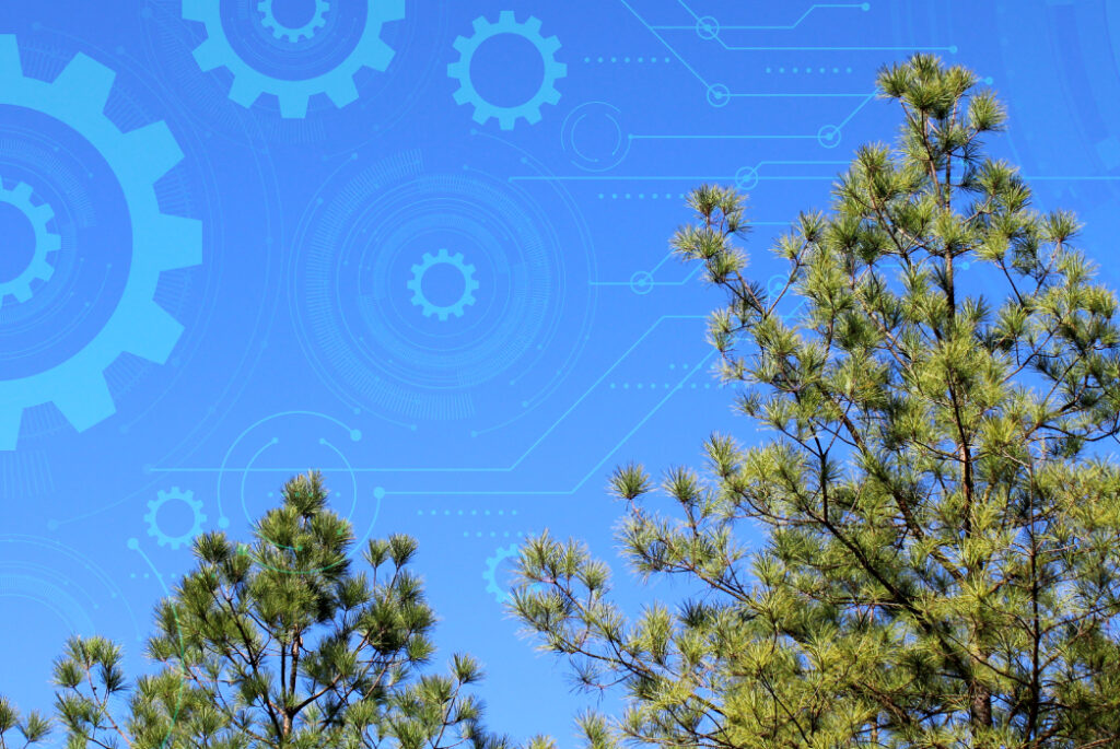 Pine trees with a technical icon overlay.
